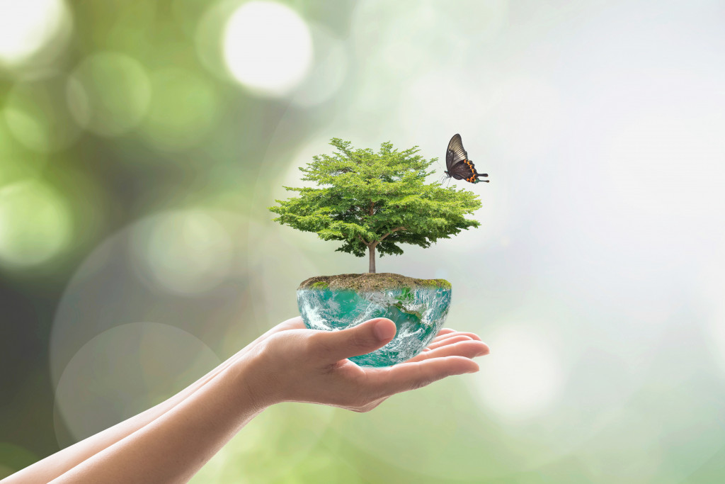 Representation of environmental protection with a person holding a small plant with a butterfly on it